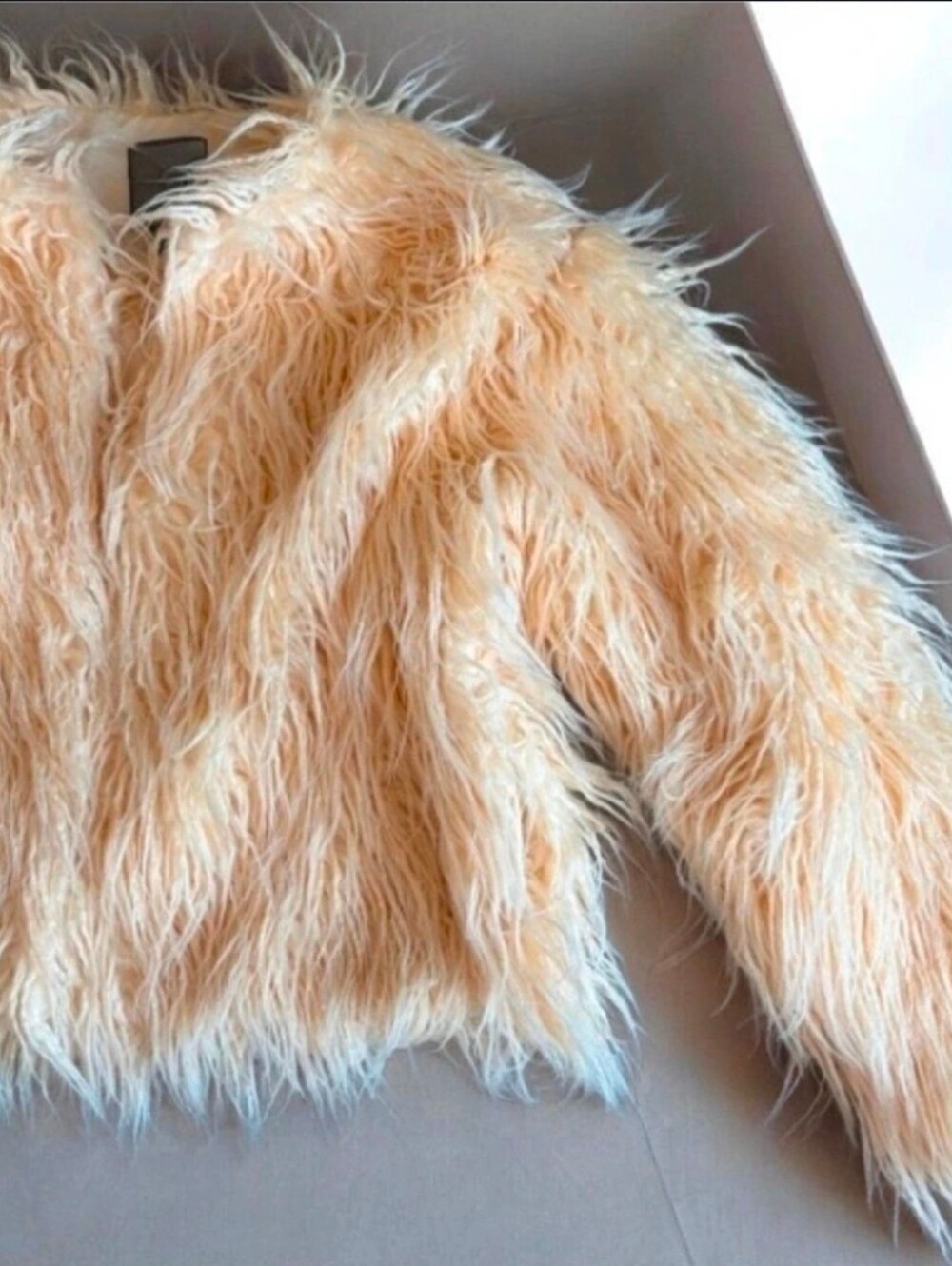 Forever 21 Faux Fur Teddy Jacket in Peachy Beige